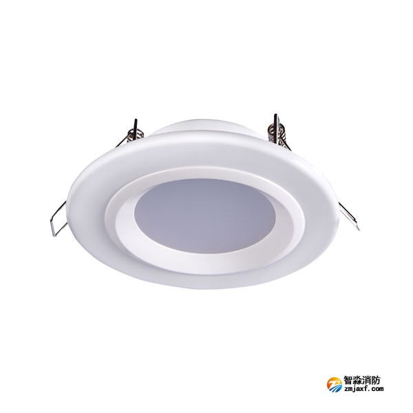 陕西海湾HW-ZFJC-E6W-N621集中电源集中控制型消防应急照明灯具